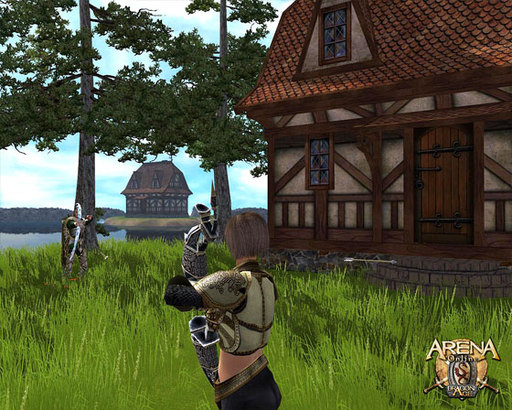ARENA Online: Dragon Age - Тихий остров