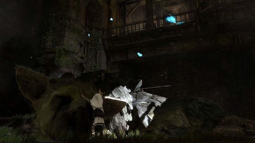 Новости - Слух: ICO и Shadow of the Colossus на PS3